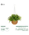 GloboStar® Artificial Garden EUCALYPTUS HANGING PLANT 20640 Τεχνητό Κρεμαστό Διακοσμητικό Φυτό Φτέρης Π45 x Μ45 x Y30cm